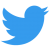 twitter-icon twitter-icon